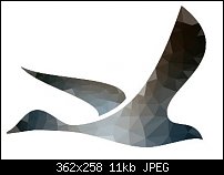 Click image for larger version. 

Name:	bird optimized.jpg 
Views:	111 
Size:	11.1 KB 
ID:	100339