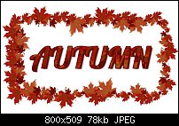 Click image for larger version. 

Name:	autumn-maple-leaf.jpg 
Views:	198 
Size:	77.6 KB 
ID:	104209