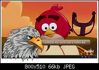 Click image for larger version. 

Name:	eagles-head-angry-bird.jpg 
Views:	234 
Size:	65.7 KB 
ID:	104281