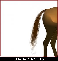 Click image for larger version. 

Name:	horse tail.jpg 
Views:	144 
Size:	12.6 KB 
ID:	108868