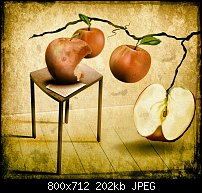 Click image for larger version. 

Name:	some apples.jpg 
Views:	218 
Size:	201.7 KB 
ID:	109112