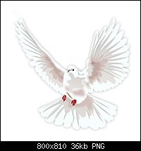 Click image for larger version. 

Name:	white-dove4tree-2.jpg 
Views:	180 
Size:	36.2 KB 
ID:	111183