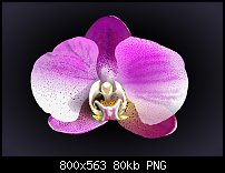 Click image for larger version. 

Name:	orchid.jpg 
Views:	183 
Size:	80.3 KB 
ID:	113838