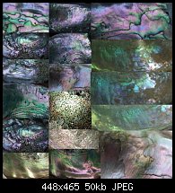 Click image for larger version. 

Name:	Abalone_colors.jpg 
Views:	155 
Size:	50.1 KB 
ID:	11976