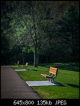 Click image for larger version. 

Name:	deer lakes park 2  may 7.jpg 
Views:	371 
Size:	135.3 KB 
ID:	121090