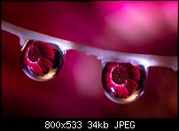 Click image for larger version. 

Name:	water drop 1 aug 20 2021.jpg 
Views:	216 
Size:	33.6 KB 
ID:	130470