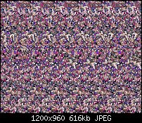 Click image for larger version. 

Name:	Rik's Stereogram II.jpg 
Views:	76 
Size:	616.3 KB 
ID:	133613