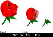 Click image for larger version. 

Name:	rose_poor.jpg 
Views:	535 
Size:	13.2 KB 
ID:	13409