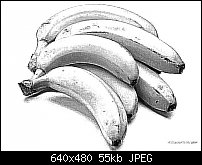 Click image for larger version. 

Name:	bananas-line-art.jpg 
Views:	451 
Size:	54.8 KB 
ID:	13693