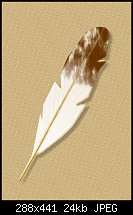 Click image for larger version. 

Name:	feather.jpg 
Views:	294 
Size:	24.0 KB 
ID:	15102
