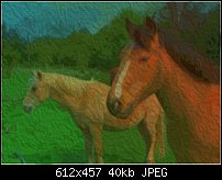Click image for larger version. 

Name:	horses1.jpg 
Views:	325 
Size:	40.0 KB 
ID:	15898