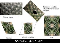 Click image for larger version. 

Name:	Tile_of_Cactus.jpg 
Views:	164 
Size:	47.0 KB 
ID:	16256