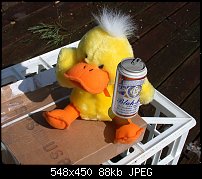 Click image for larger version. 

Name:	Duck_Beer.jpg 
Views:	268 
Size:	87.7 KB 
ID:	1698