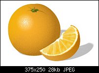 Click image for larger version. 

Name:	orange2.jpg 
Views:	491 
Size:	28.2 KB 
ID:	18389