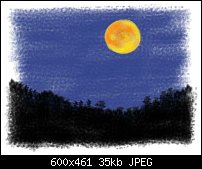 Click image for larger version. 

Name:	Brush_moon2.jpg 
Views:	173 
Size:	35.3 KB 
ID:	18534
