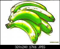 Click image for larger version. 

Name:	mocha-banana-3.jpg 
Views:	313 
Size:	16.8 KB 
ID:	18938