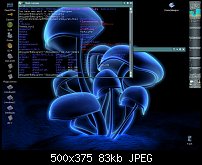 Click image for larger version. 

Name:	linux-screenshot01.jpg 
Views:	353 
Size:	83.4 KB 
ID:	19962