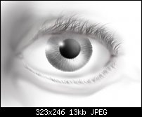 Click image for larger version. 

Name:	eye-detail.jpg 
Views:	18595 
Size:	13.3 KB 
ID:	20255