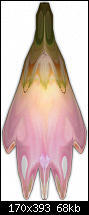 Click image for larger version. 

Name:	Flower Light3.png 
Views:	230 
Size:	67.7 KB 
ID:	22691