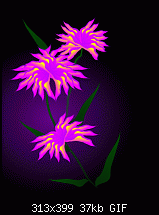 Click image for larger version. 

Name:	flowers.gif 
Views:	224 
Size:	36.9 KB 
ID:	23490