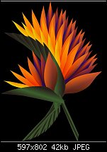 Click image for larger version. 

Name:	bird of paradise.jpg 
Views:	212 
Size:	42.3 KB 
ID:	23498