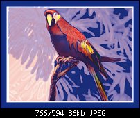Click image for larger version. 

Name:	tri-color parrot sep.jpg 
Views:	259 
Size:	86.3 KB 
ID:	24044