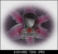 Click image for larger version. 

Name:	flower nakayama 5(edited).JPG 
Views:	323 
Size:	71.5 KB 
ID:	25538