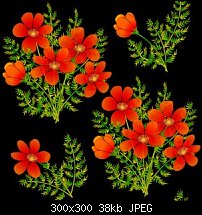 Click image for larger version. 

Name:	Orangeflowers.jpg 
Views:	696 
Size:	37.8 KB 
ID:	3183