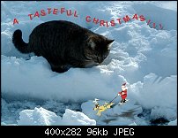 Click image for larger version. 

Name:	Killercat.jpg 
Views:	215 
Size:	96.3 KB 
ID:	32937