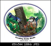 Click image for larger version. 

Name:	feeding baby birds.jpg 
Views:	1152 
Size:	187.7 KB 
ID:	34164