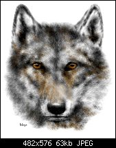Click image for larger version. 

Name:	dkwolf1.jpg 
Views:	279 
Size:	62.7 KB 
ID:	3579