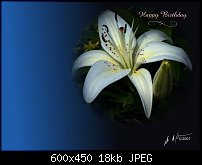 Click image for larger version. 

Name:	birfdaylilly.jpg 
Views:	739 
Size:	18.4 KB 
ID:	39724