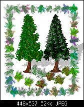 Click image for larger version. 

Name:	Austrian_Christmastrees.jpg 
Views:	350 
Size:	51.9 KB 
ID:	4422