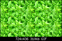 Click image for larger version. 

Name:	leaves-3-2.gif 
Views:	254 
Size:	309.8 KB 
ID:	50783