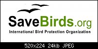 Click image for larger version. 

Name:	savebirdsorg.jpg 
Views:	491 
Size:	23.9 KB 
ID:	51922