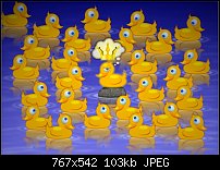 Click image for larger version. 

Name:	king-of-the-hill-duck-www.jpg 
Views:	409 
Size:	103.4 KB 
ID:	52468