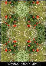 Click image for larger version. 

Name:	seamless poppies.jpg 
Views:	359 
Size:	151.9 KB 
ID:	55235