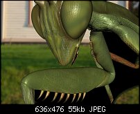 Click image for larger version. 

Name:	huff_mantis.jpg 
Views:	576 
Size:	55.3 KB 
ID:	6460