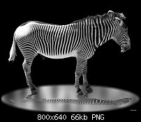 Click image for larger version. 

Name:	Zebra.jpg 
Views:	202 
Size:	65.8 KB 
ID:	65956