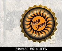 Click image for larger version. 

Name:	Bottle Cap Challenge - Tiger Stripe - 2009 HayTay.jpg 
Views:	802 
Size:	55.7 KB 
ID:	66286