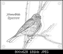 Click image for larger version. 

Name:	SparrowWireframe.jpg 
Views:	173 
Size:	180.8 KB 
ID:	66387