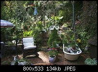 Click image for larger version. 

Name:	Garden.jpg 
Views:	151 
Size:	134.1 KB 
ID:	70946