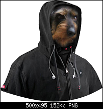 Click image for larger version. 

Name:	hoodie.png 
Views:	90 
Size:	151.7 KB 
ID:	71176