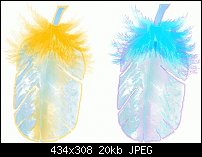 Click image for larger version. 

Name:	Feather_Comparison.jpg 
Views:	244 
Size:	19.8 KB 
ID:	7186