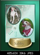 Click image for larger version. 

Name:	sabby3.jpg 
Views:	181 
Size:	39.3 KB 
ID:	72772