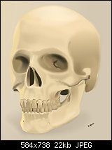 Click image for larger version. 

Name:	skull.jpg 
Views:	281 
Size:	22.0 KB 
ID:	73617