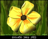 Click image for larger version. 

Name:	wildflower_small.jpg 
Views:	271 
Size:	33.7 KB 
ID:	74187
