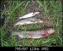 Click image for larger version. 

Name:	nice catch.jpg 
Views:	159 
Size:	123.0 KB 
ID:	74401