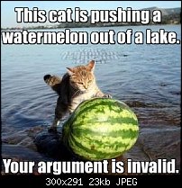 Click image for larger version. 

Name:	the_cat_is_pushing_a_watermelon_out_of_a_lake.thumbnail.jpg 
Views:	260 
Size:	23.2 KB 
ID:	79691
