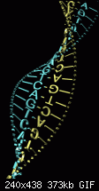Click image for larger version. 

Name:	dna5a txt anim.gif 
Views:	224 
Size:	373.5 KB 
ID:	81270